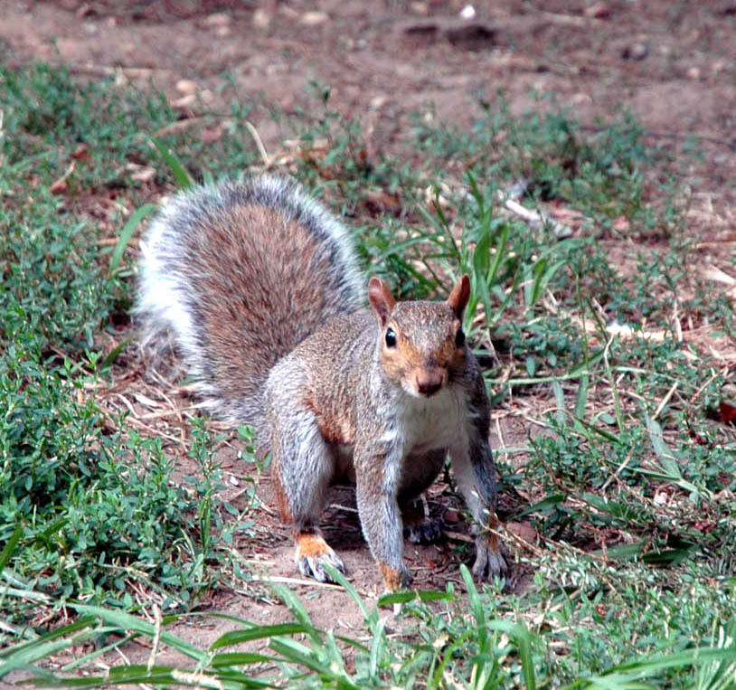 DSC_0361.JPG