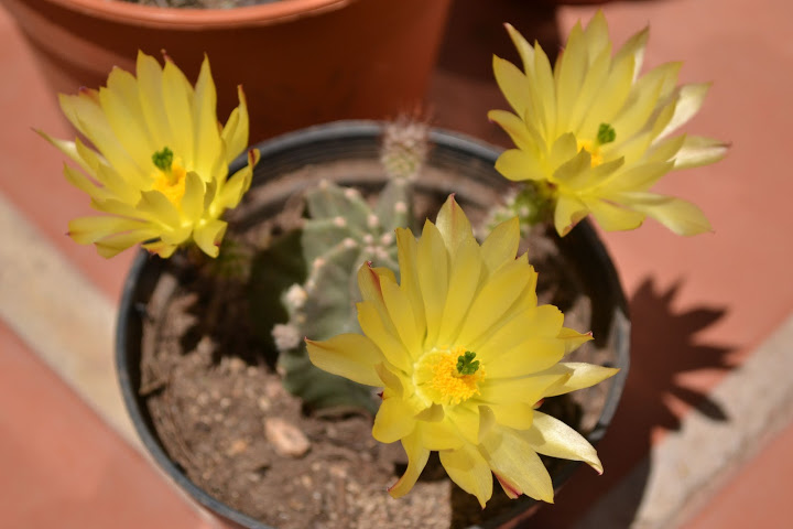 DSC_0364.JPG
