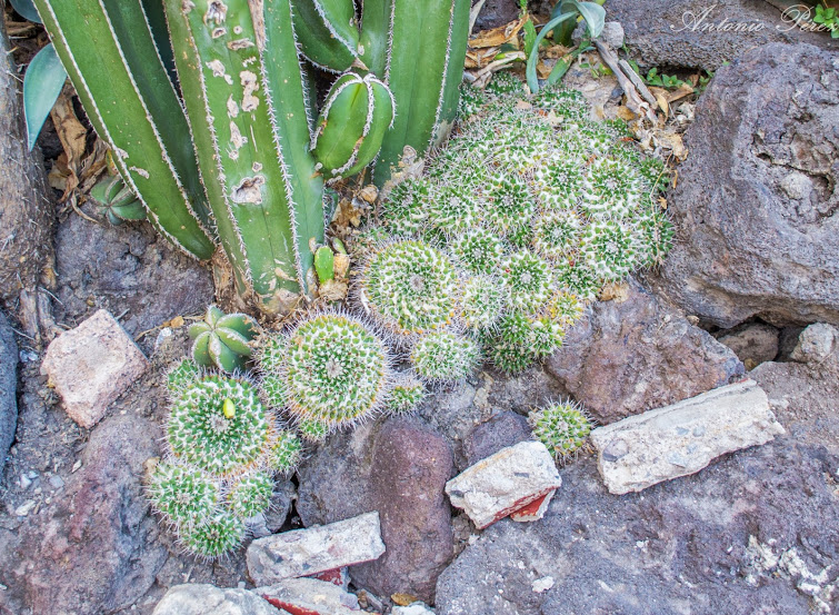 DSC_0380.jpg