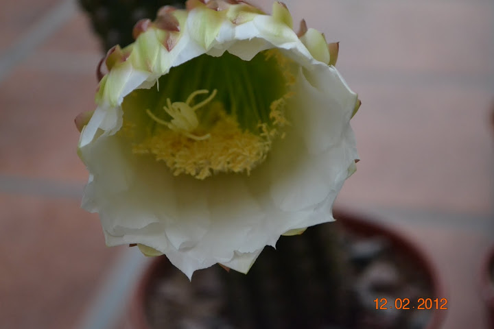 DSC_0384.JPG