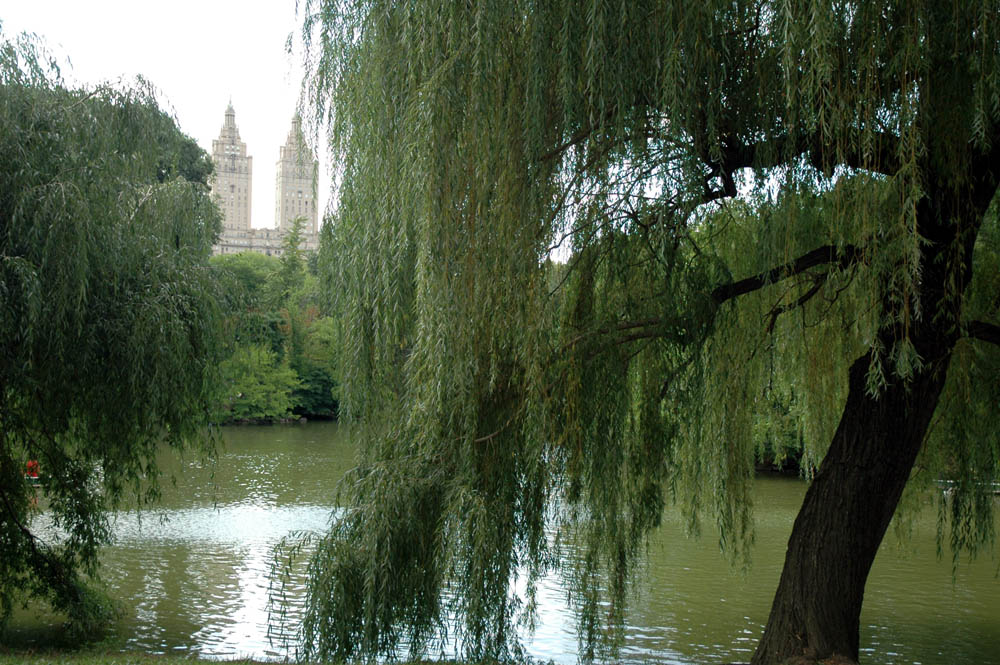 DSC_0391.JPG