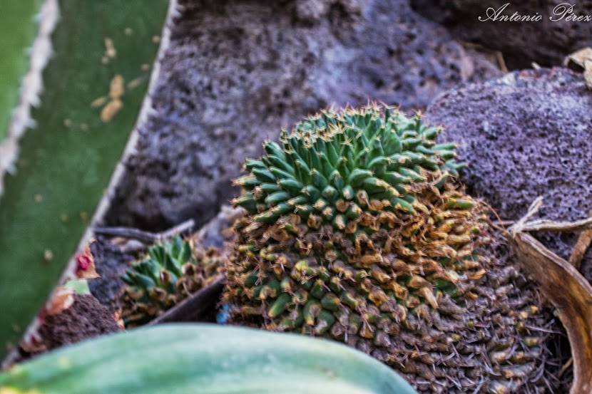 DSC_0406.jpg