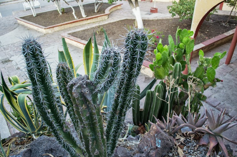 DSC_0415.jpg
