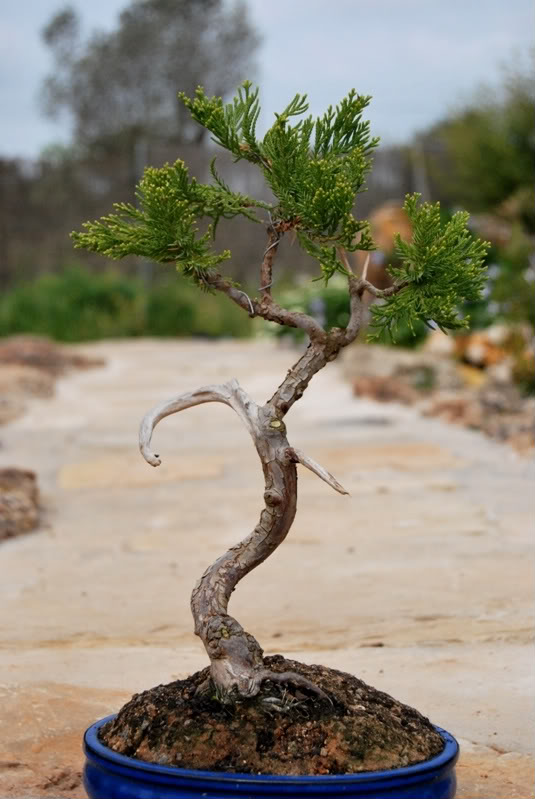 DSC_0418.jpg