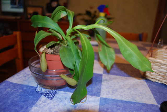 DSC_0430.jpg