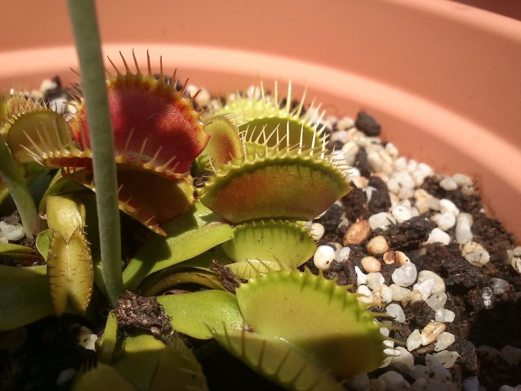 DSC_0462.jpg