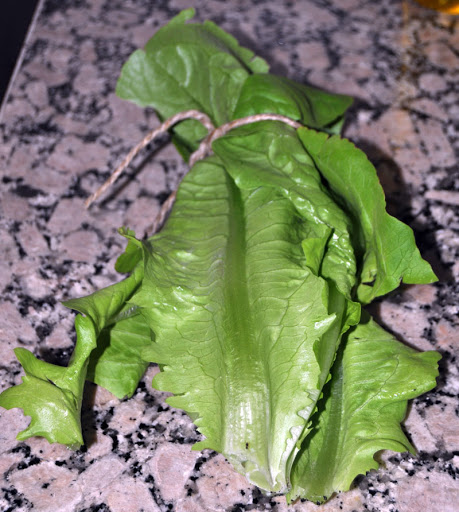 DSC_0479.jpg