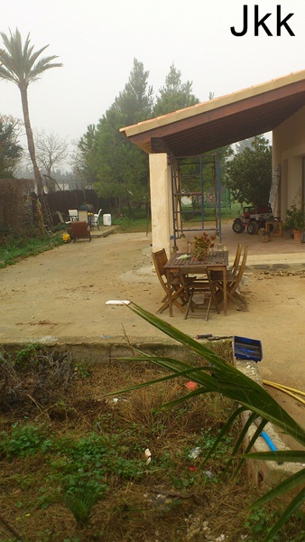 DSC_0532Copiar_zps50475723.jpg