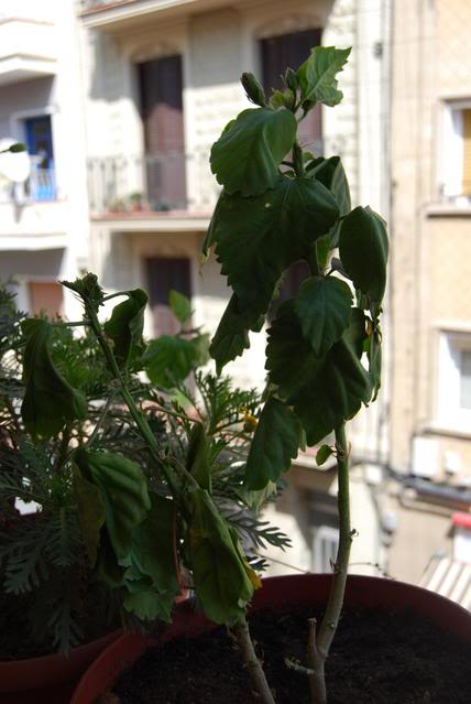 DSC_0537.jpg