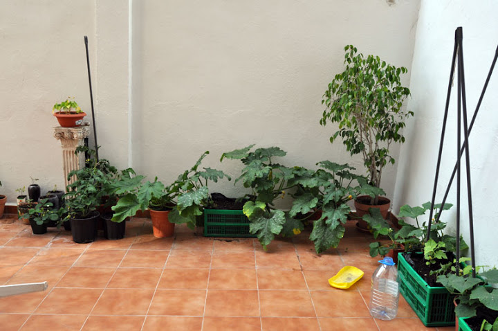 DSC_0565.jpg