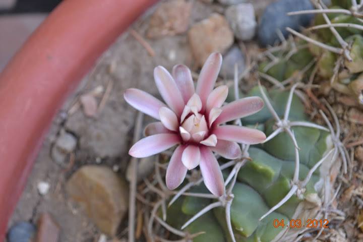 DSC_0583.JPG