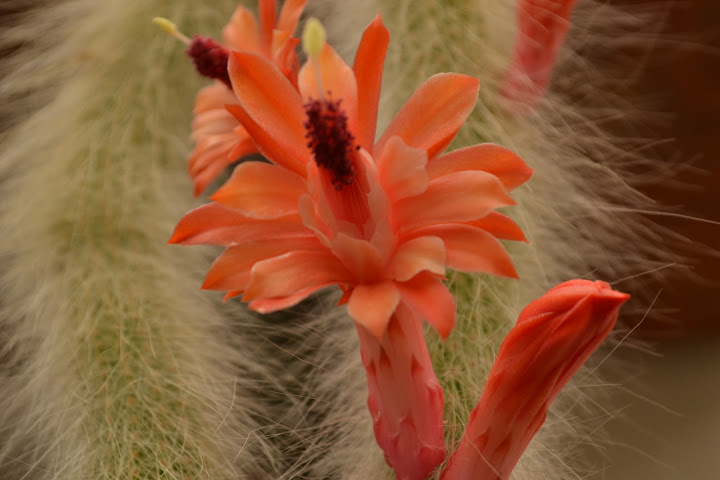 DSC_0771.JPG