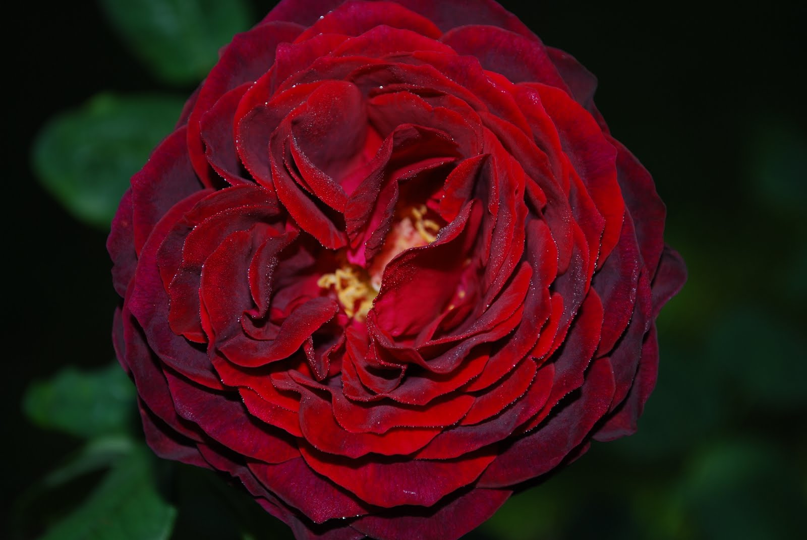 DSC_0860.JPG