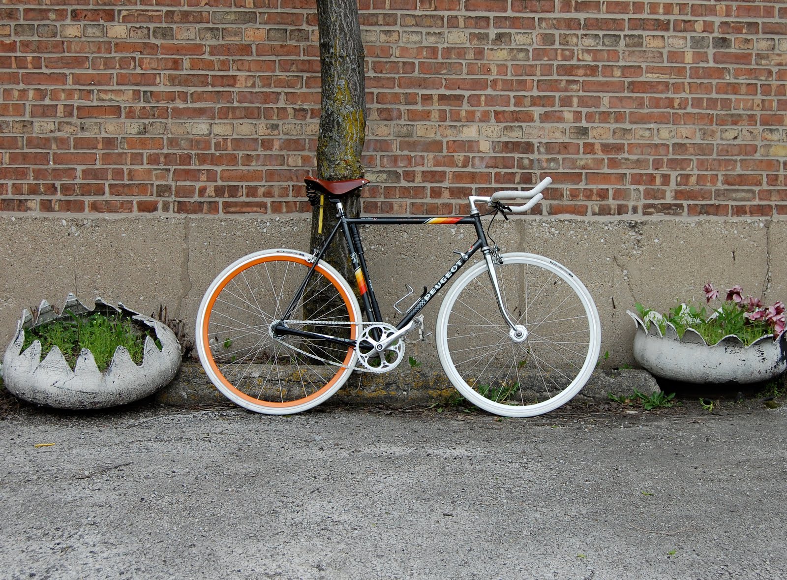 DSC_0878.JPG