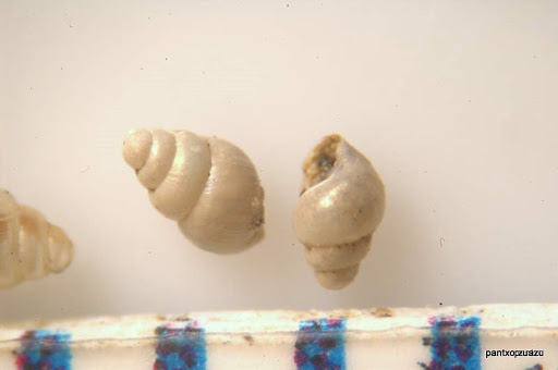 DSC_0904.jpg