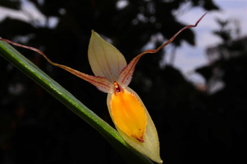 DSC_0961_Medium_.JPG