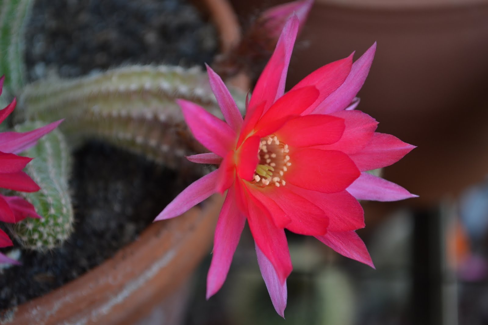 DSC_1298.JPG