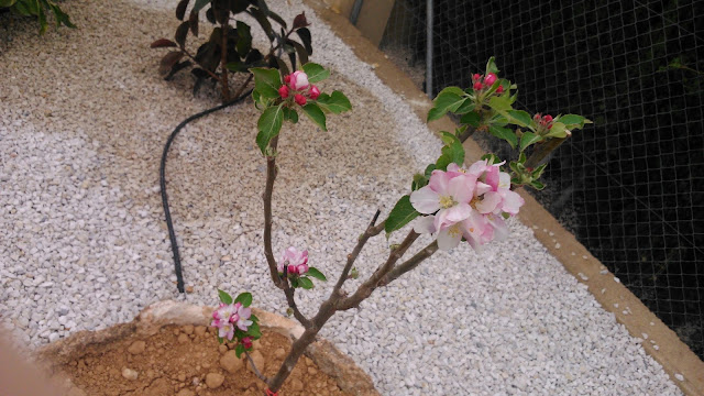 DSC_1679.jpg