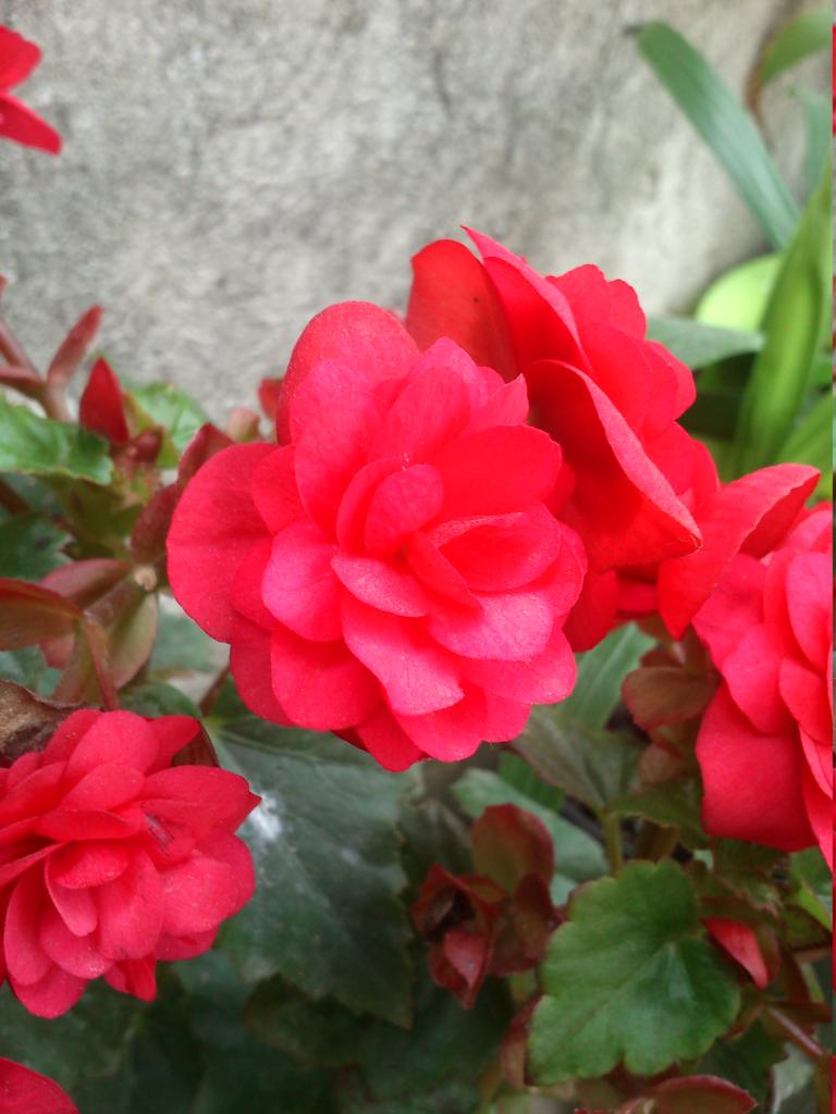 DSC_2167_zpsmznilmyk.jpg
