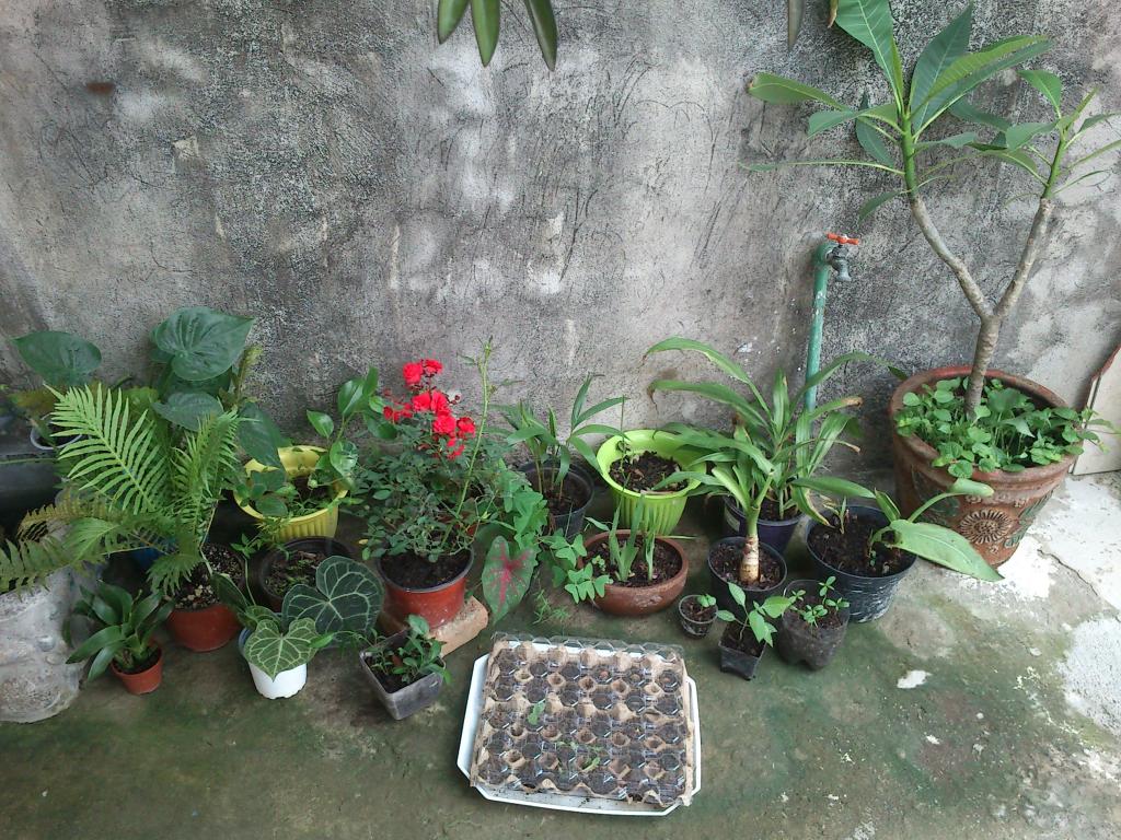 DSC_2179_zps7ntqqsek.jpg
