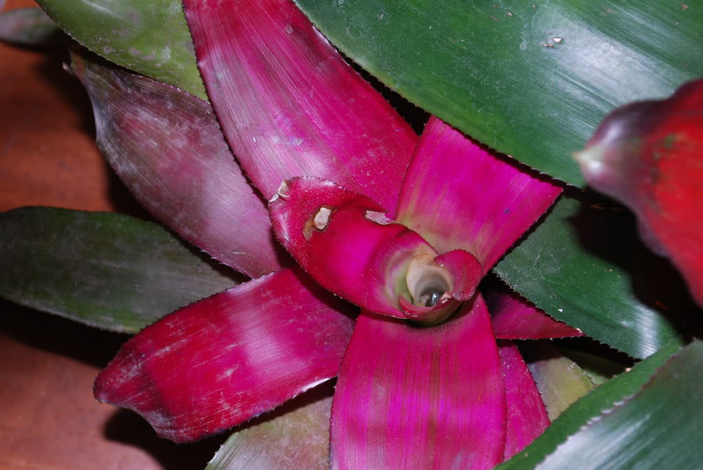 DSC_2183.jpg