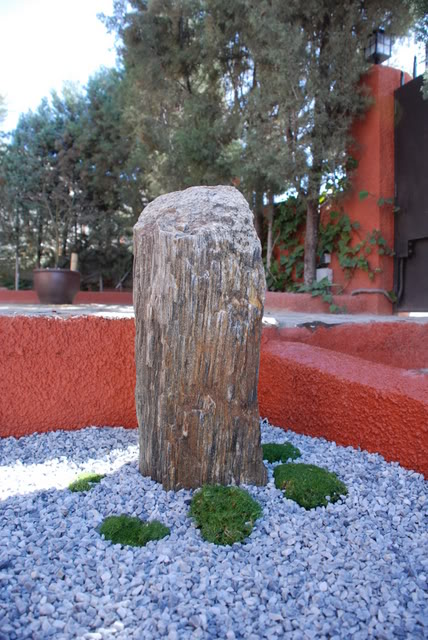 DSC_2286-1.jpg