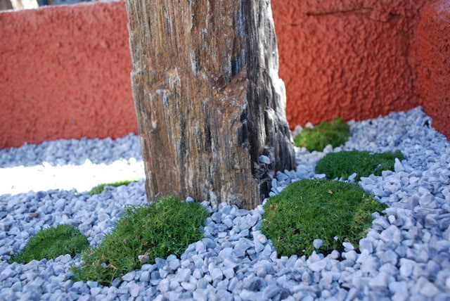DSC_2291-1.jpg