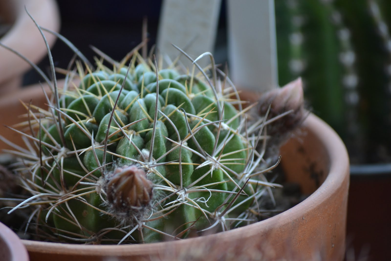 DSC_2382.JPG