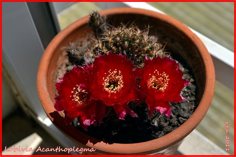 DSC_2543.JPG