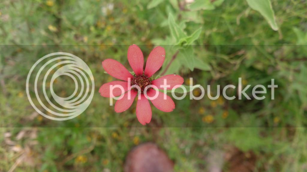 DSC_2554_zpscxxjfbfg.jpg