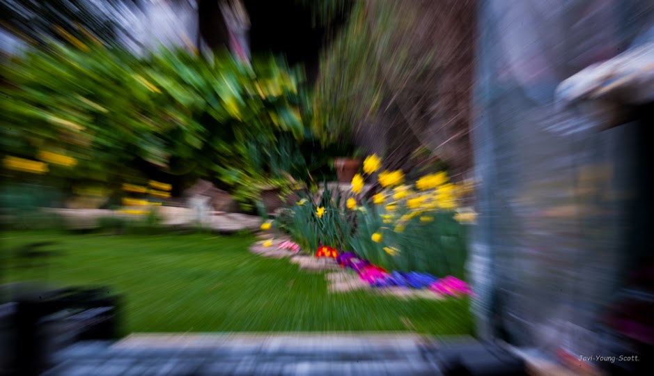 DSC_2566.jpg