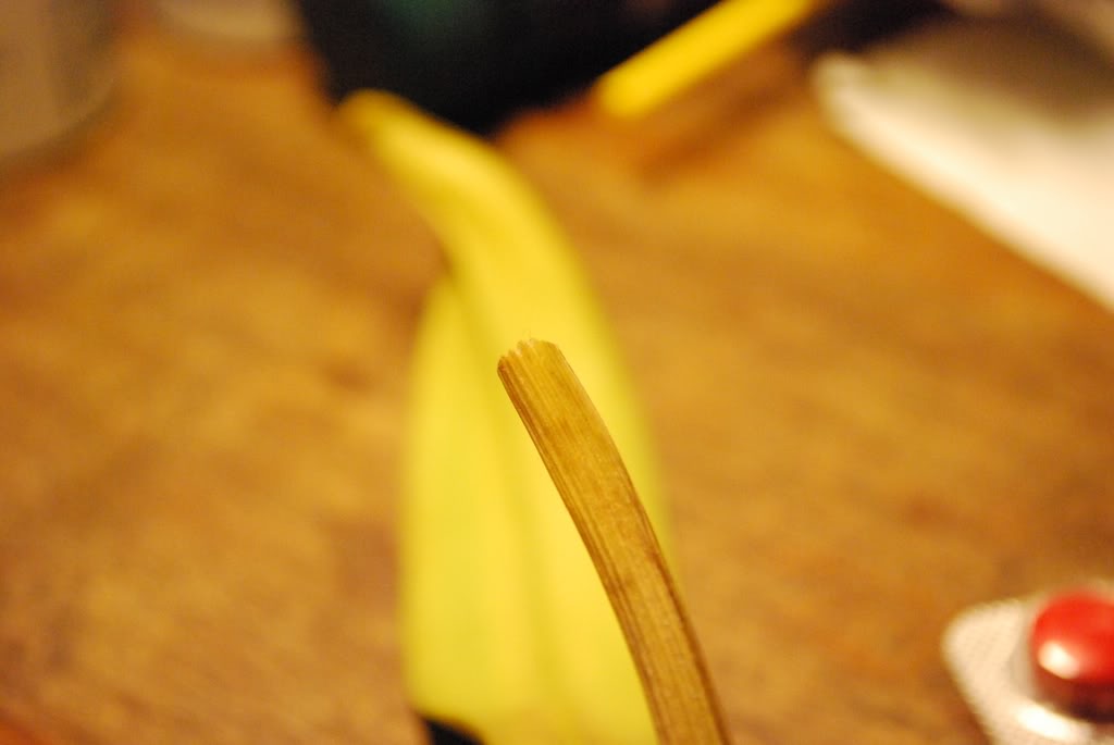 DSC_2629.jpg