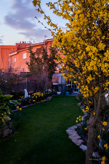 DSC_2730-2.jpg