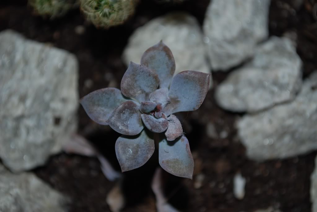 DSC_2748.jpg