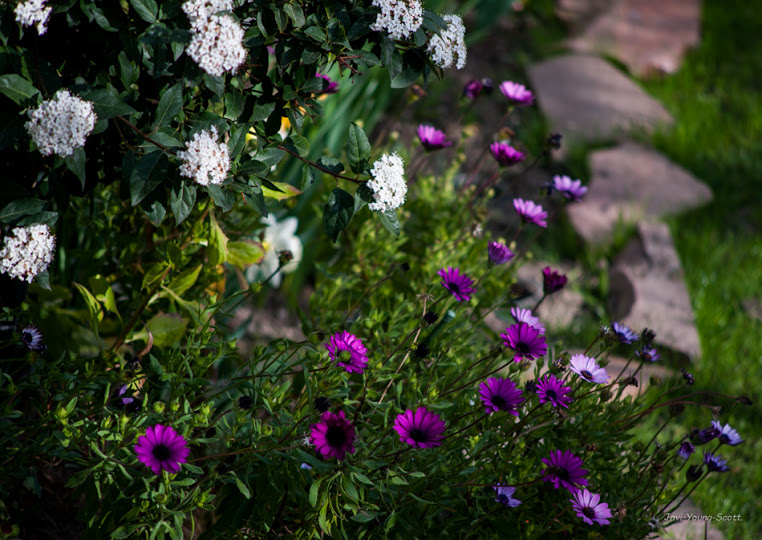 DSC_2748.jpg