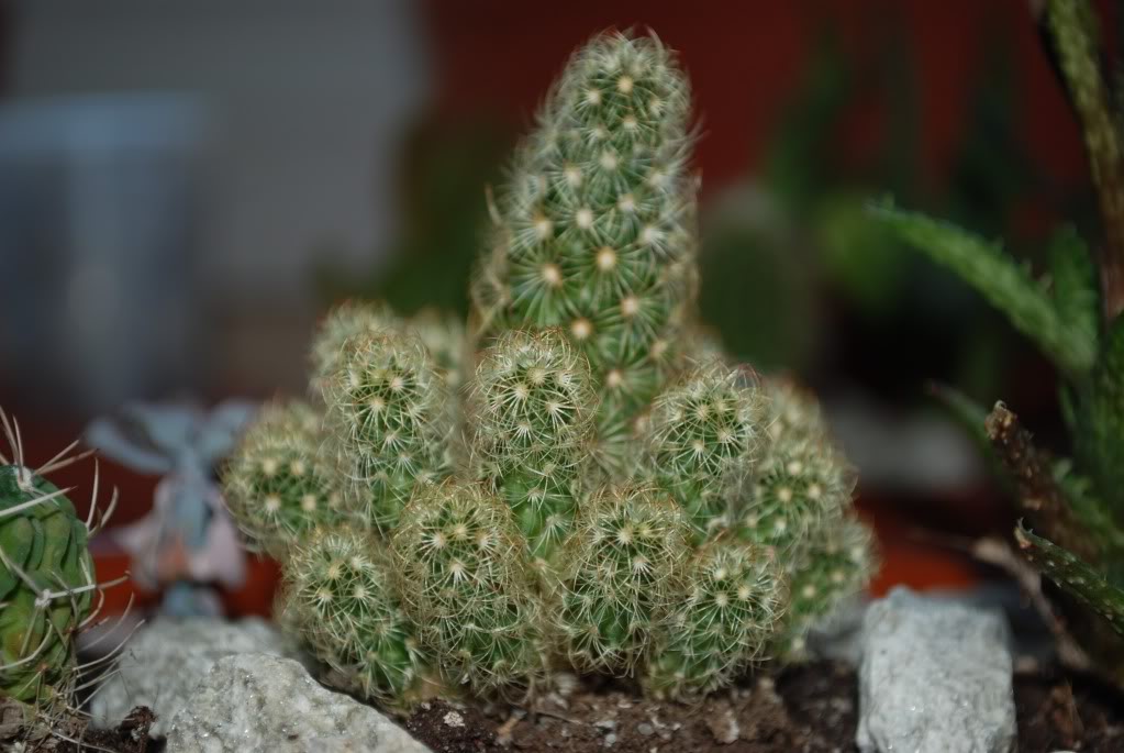DSC_2750.jpg