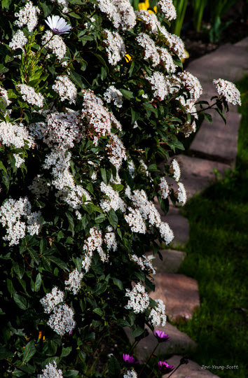 DSC_2753.jpg