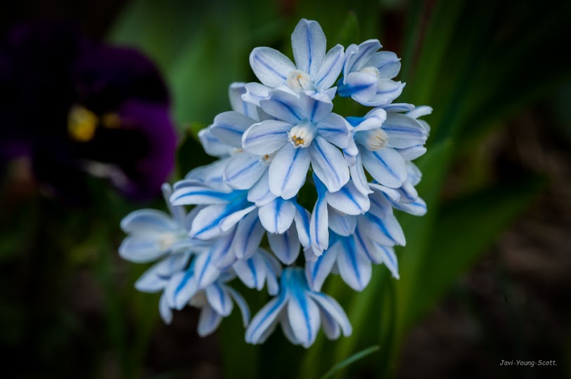DSC_2781.jpg