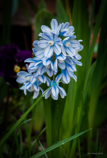DSC_2784.jpg