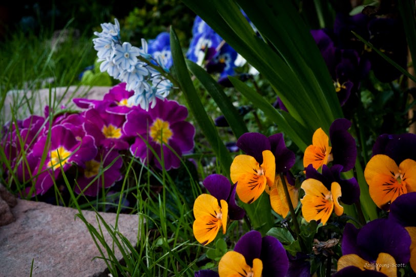DSC_2794.jpg