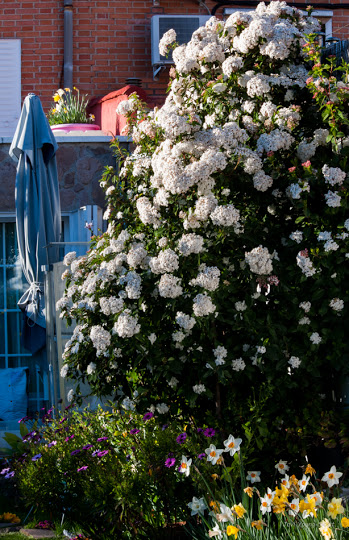DSC_2831.jpg