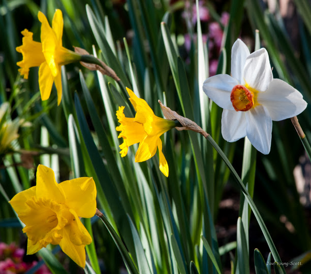 DSC_2841.jpg
