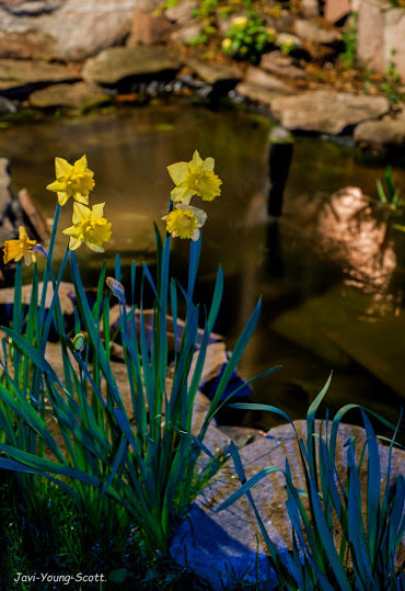 DSC_2851.jpg