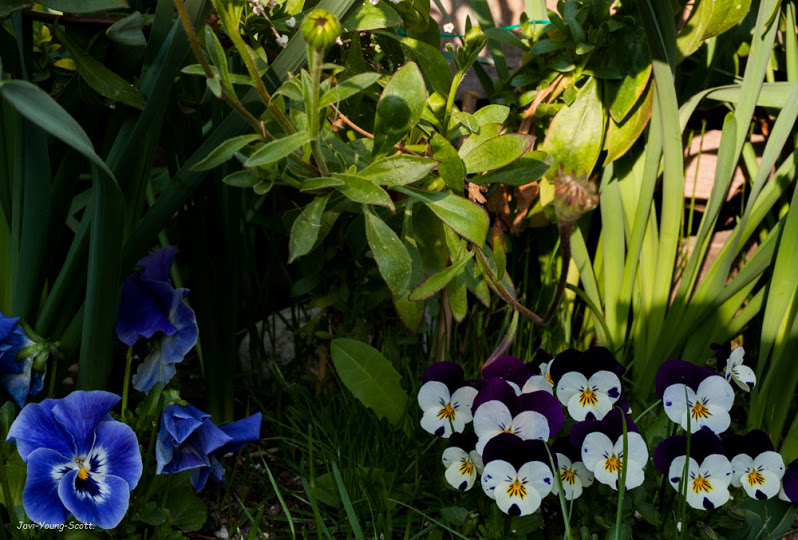 DSC_2869.jpg