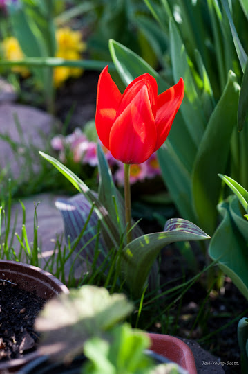 DSC_2966.jpg