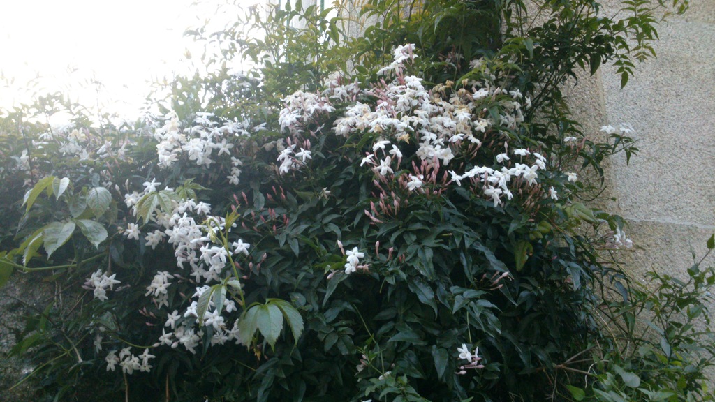 DSC_3307.jpg