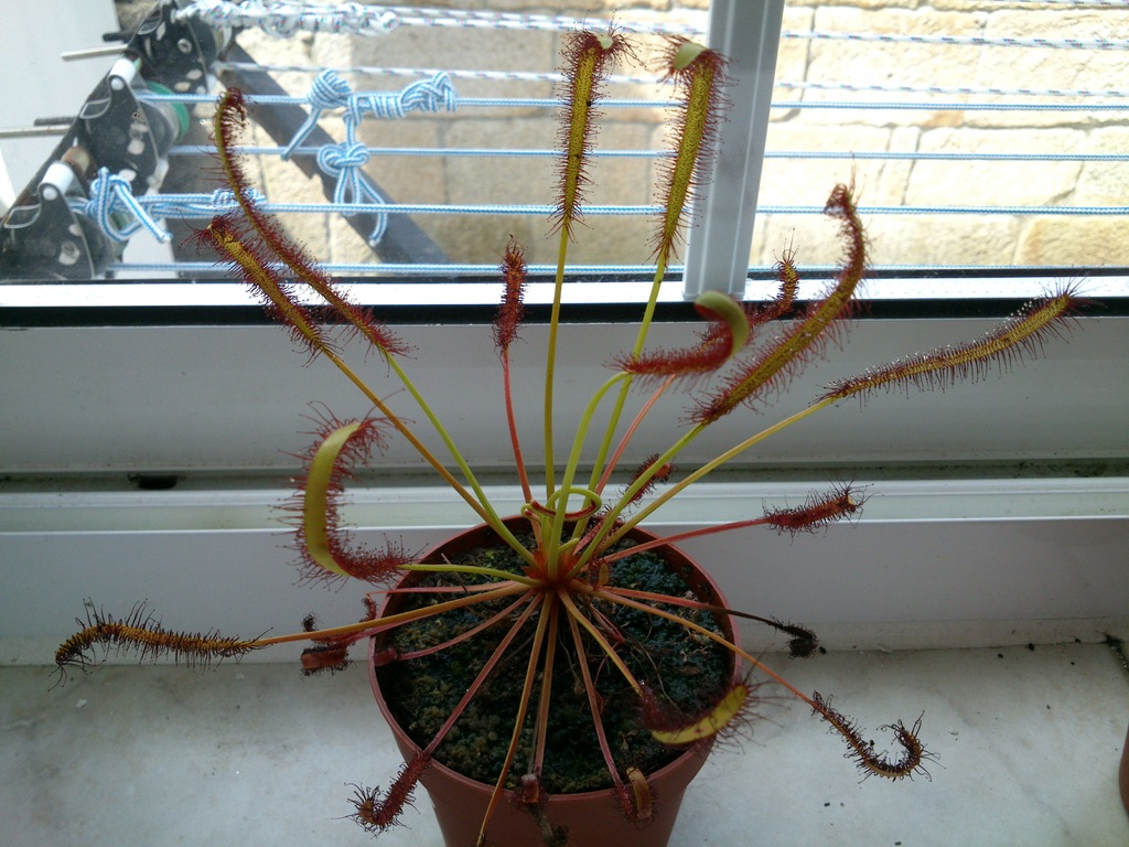 DSC_3324.jpg