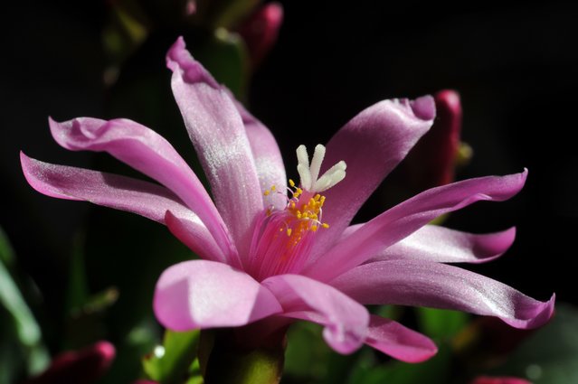 dsc_3410.jpg