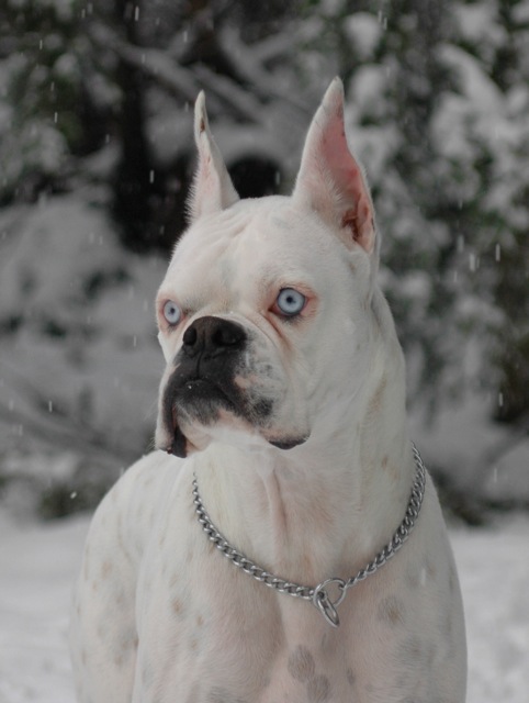 DSC_3499.jpg