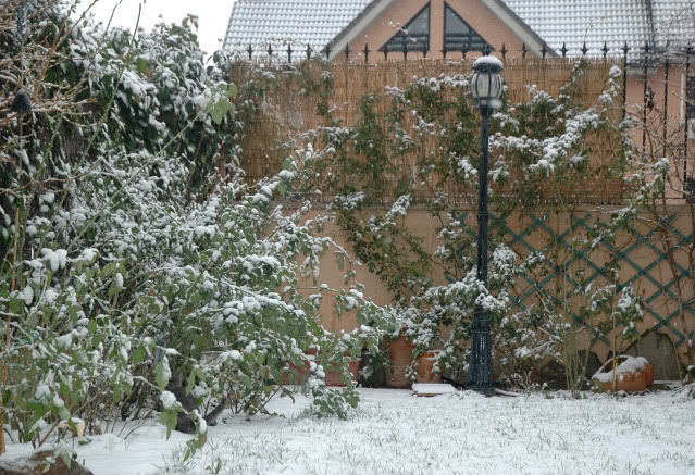 DSC_4311copia.jpg